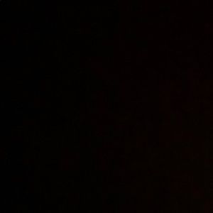 Meet your Posher, Toby